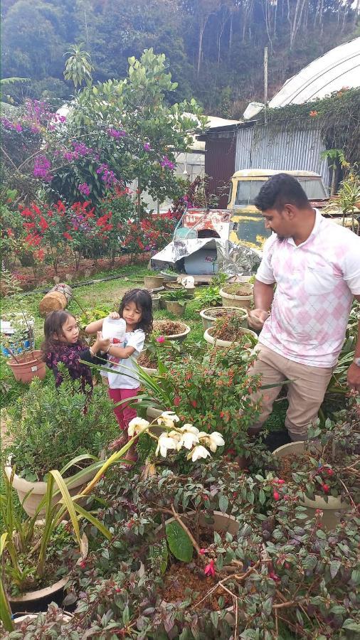 Hillview Inn Cameron Highlands Promo Танах-Рата Екстер'єр фото